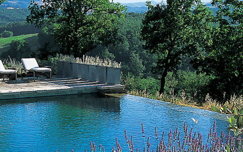 Why you should book a Salogi villa