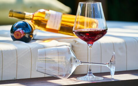 The Best Wine and Olive Oil Tours in Lucca Countryside