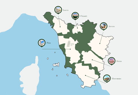 Best Wineries in Tuscany: A Complete Guide