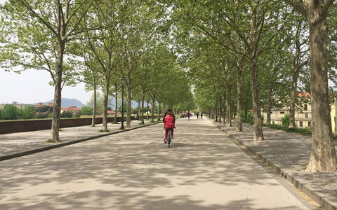 Fietsen in Lucca – De mooiste fietsroutes in en rond Lucca