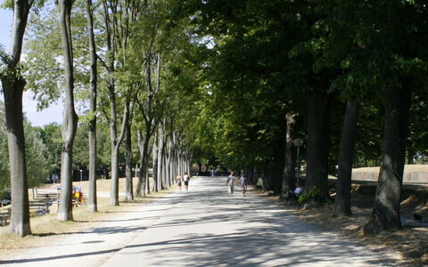 De onmisbare reisgids voor Lucca | Salogi Villas