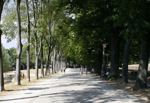 De onmisbare reisgids voor Lucca | Salogi Villas