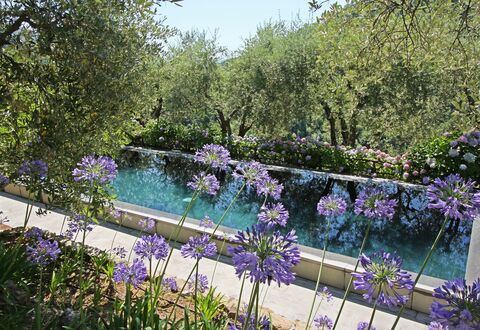 Macennere: Giardino, Piscina