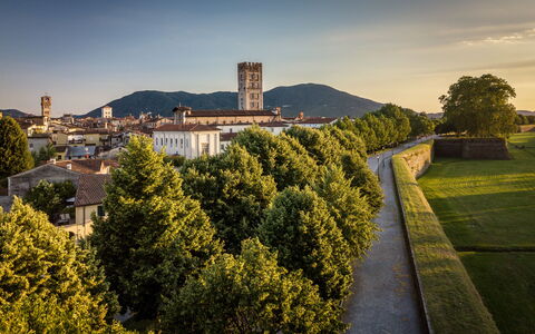 Lucca_walls.jpg